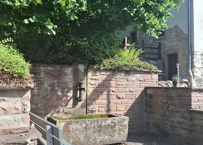 Ferienparadies In Der Vulkaneifel